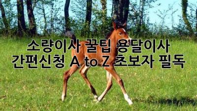 소량이사 꿀팁🍯 용달이사 간편신청 A to Z (초보자 필독)
