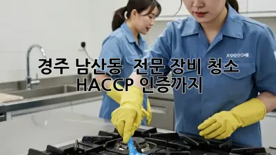 경주 남산동 ✨ 전문 장비 청소, HACCP 인증까지! 💯