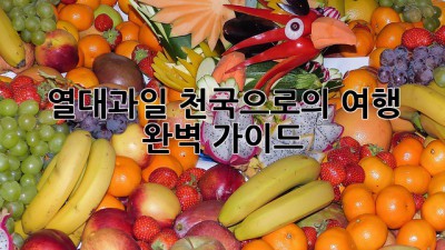 열대과일 천국으로의 여행: 완벽 가이드