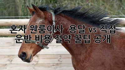 혼자 원룸이사? 📦 용달 vs 직접 운반! 비용 절약 꿀팁 공개 💰